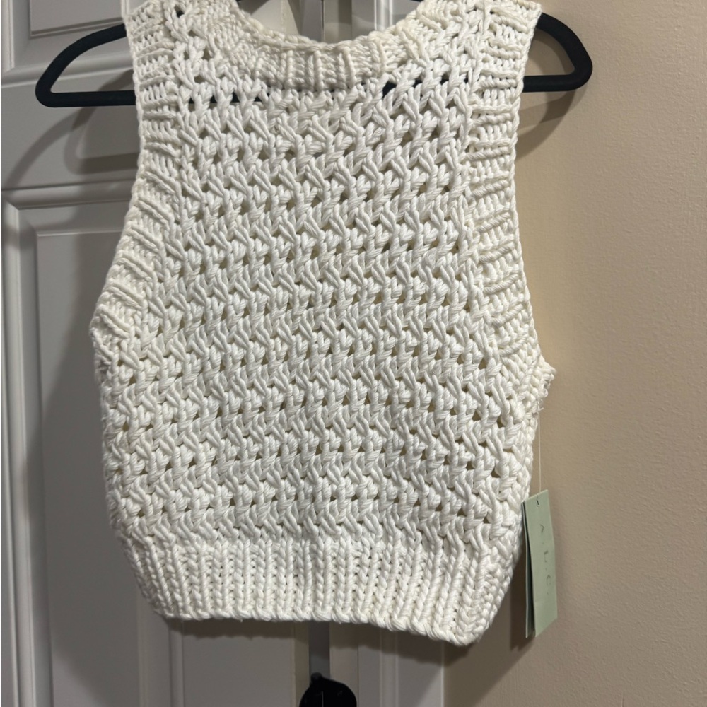 A.L.C. Ivory Crochet Crop Top